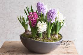 Hyacint ke dnu učitelů – kytička ze špejle a papíru